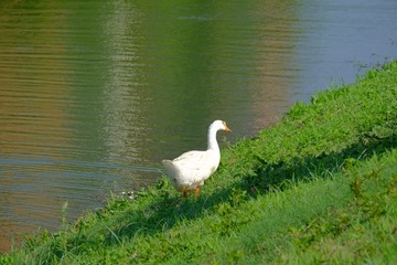 24864