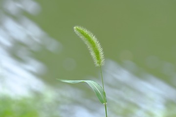 20932