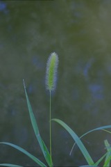 23155