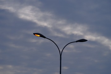 65459