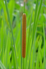 21281