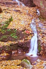 IMG_5468 gj xt