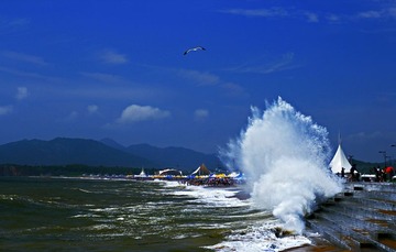 _MG_4159 副本xt.jpg