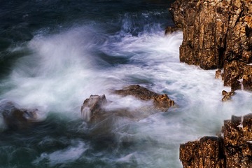 IMG_8951 cy2-xt