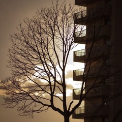 IMG_9495.jpg