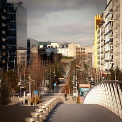 IMG_9514.jpg