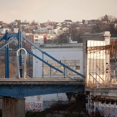 IMG_9515.jpg