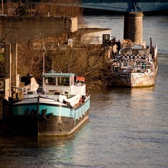 IMG_9516.jpg