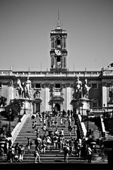 IMG_1392.jpg