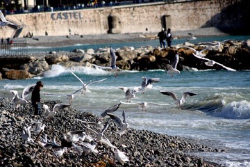2012-12-01 at 12-38-28.jpg