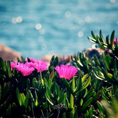 2013-04-13 at 11-42-15.jpg