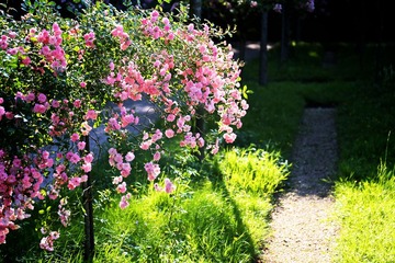 2014-06-15 at 18-08-25