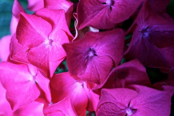 2014-06-15 at 18-22-04