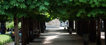 Jardin des Tuileries