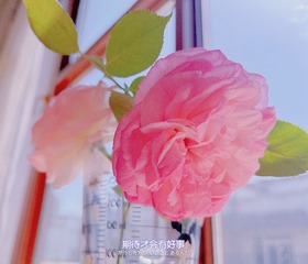 9F3AC7A9-D289-43DD-91BD-4374583A6D76/L0/001