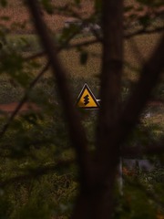 383403