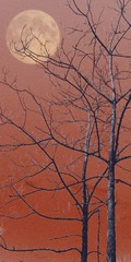 D30654A1-85D9-4061-A168-D7FC06290225/L0/001