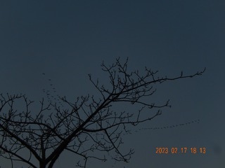 4C52DBBA-BBC0-497D-BBE9-3DD35B8093A4/L0/001