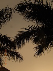 410F861B-8D9C-435C-862F-F1697873FD22/L0/001