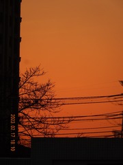E64D84F5-CC39-4EA4-9099-905250F73B52/L0/001