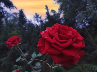 859