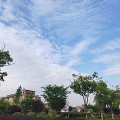 169322
