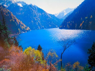 2AE5D936-32BA-45FE-9CFE-C85E62F9BF53/L0/001