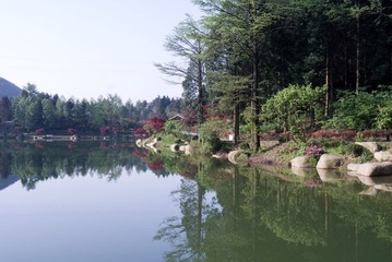 L1003207.jpg