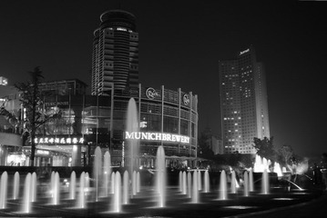 L1003623.jpg