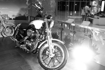 L1004186.jpg