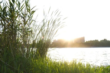 L1004307.jpg