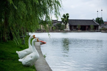 DSC04294.jpg