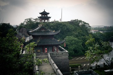 L1004826.jpg