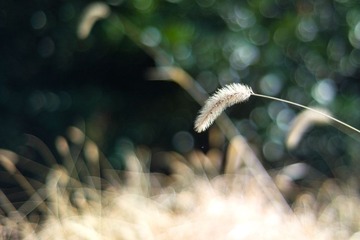 CW8B8955.jpg