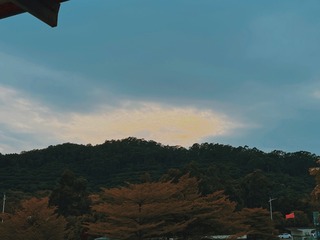373633D6-E9CA-46F9-9CDB-E10135258CC7/L0/001