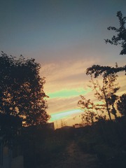 F7271E94-82FF-4C36-8DAA-4441219059FE/L0/001