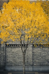 2FE992AB-A189-462D-A009-0F2A2269732B/L0/001