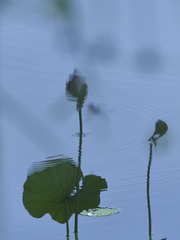 1214233