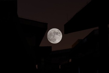 1502245