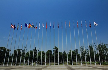 IMG_6452.JPG