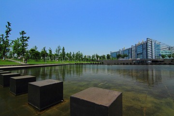 IMG_6456.JPG