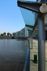 IMG_6460.JPG