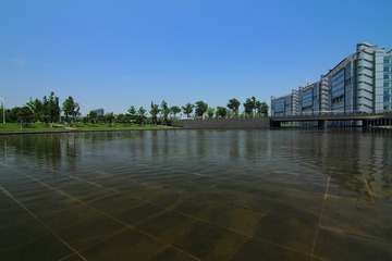 IMG_6461.JPG