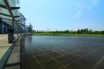 IMG_6464.JPG