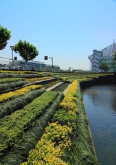 IMG_6476.JPG