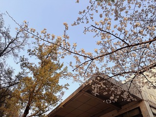 F74131EA-EB9C-4EA9-9760-A129B23BD311/L0/001