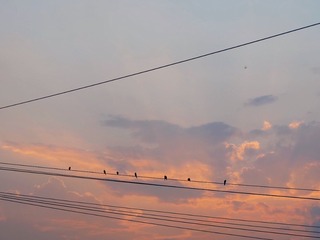A3333FD7-E8C7-49F5-A665-81F1263AA626/L0/001
