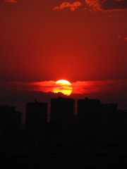 82F55244-8858-4C51-A9C6-796EF86BB020/L0/001