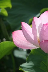 88741EB6-1B87-4D2F-B135-DBAE5122DB74/L0/001