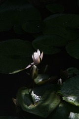 8020B748-52FB-4BC7-91C7-D30BB365C345/L0/001